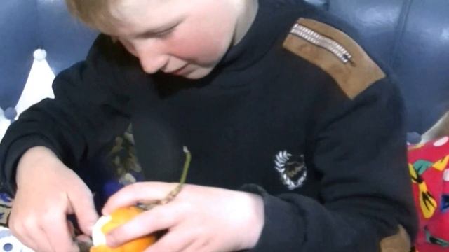 Пробуем тропические фрукты из Индии смотреть онлайн