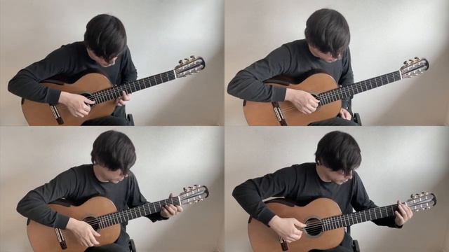 SEVEN NATION ARMY - THE WHITE STRIPES feat. Beethoven & Snoop Dogg (Classical Guitar Cover) смотреть онлайн