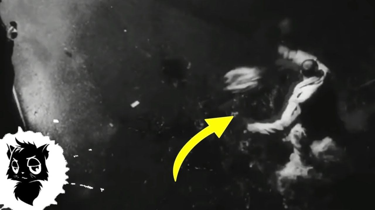 5 НОЧНЫХ МОНСТРОВ СНЯТЫХ НА КАМЕРУ [Черный кот] смотреть онлайн