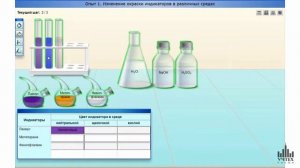 Виртуальная лаборатория по химии. Классы неорганических соединений. Кинетика и равновесие.