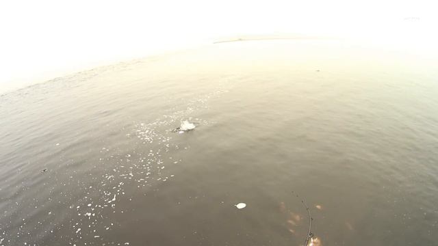 Рыбалка на спиннинг. Рыбалка на щук и окуней на реке Лене #3.ловля щуки#ловля окуня# смотреть онлайн