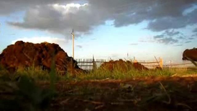 Закладка навоза на перегной. смотреть онлайн