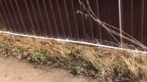 Трубопровод на даче для полива из полипропилена