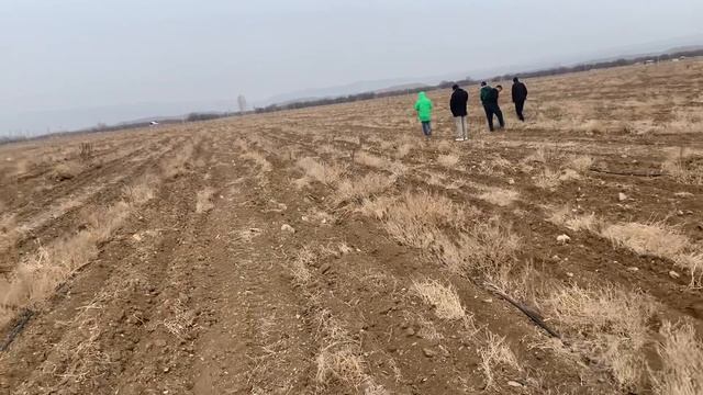 Баткенге кансультацияга 67 гектар смотреть онлайн