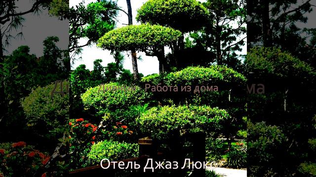 Клуб - Видение смотреть онлайн