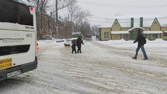 В Домодедово ввели бесплатный проезд на автобусах смотреть онлайн