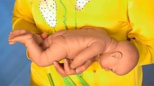 Скотч-тест на наличие глистов. Жить здорово! Фрагмент выпуска от 04.02.2015