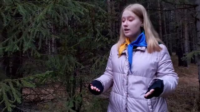 Стажерский дистант -||- Алина и Алёна о породах хвойных деревьев смотреть онлайн