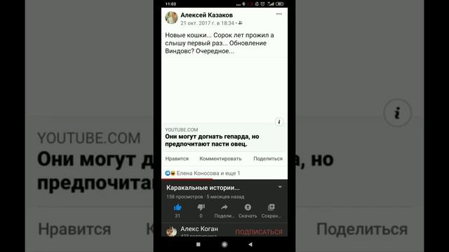 В чем не прав Игнатенко? смотреть онлайн