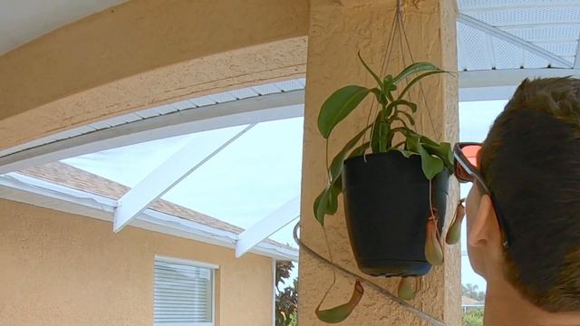 My Colorblind Son Sees Colors for the First Time смотреть онлайн