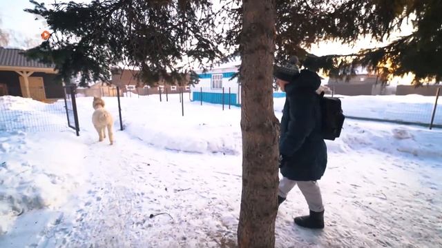 Чем исцелиться от всех болезней в самом святом месте Урала? Верхотурье | «Отпуск неподалёку-2» смотреть онлайн