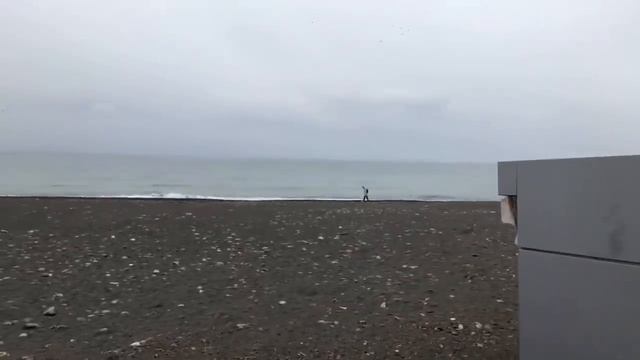 Онлайн Сочи -2019? Вопрос - Ответ✅