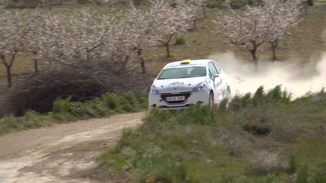 9 Rallye Tierras Altas de Lorca | Sergio Fuentes / Alain Peña | Peugeot 208 R2 смотреть онлайн