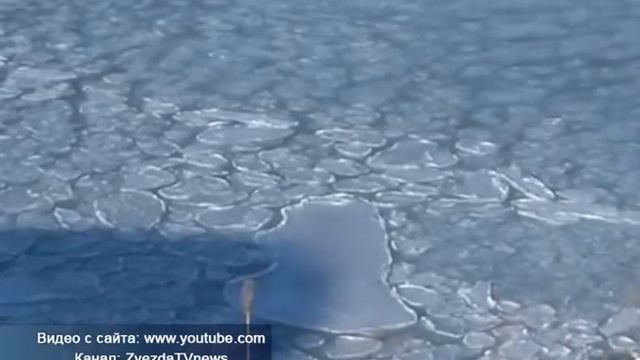 Дальневосточный гектар стал доступнее смотреть онлайн