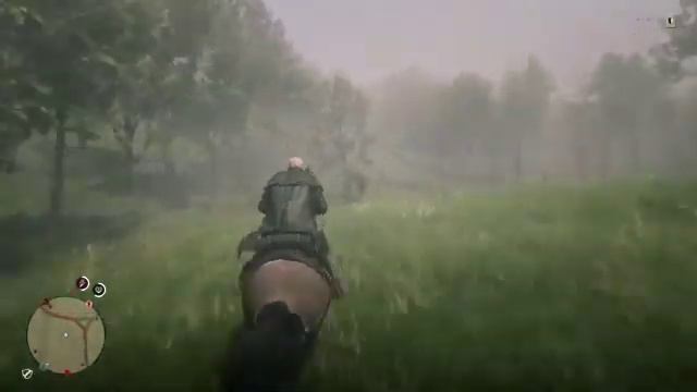 Red Ded Redemption 2 Online Game Play