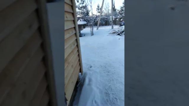 сколько примерно стоит бытовка своими руками в 2021 году + небольшая экскурсия по моему участку. смотреть онлайн