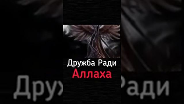 Дружба ради Аллагьа смотреть онлайн