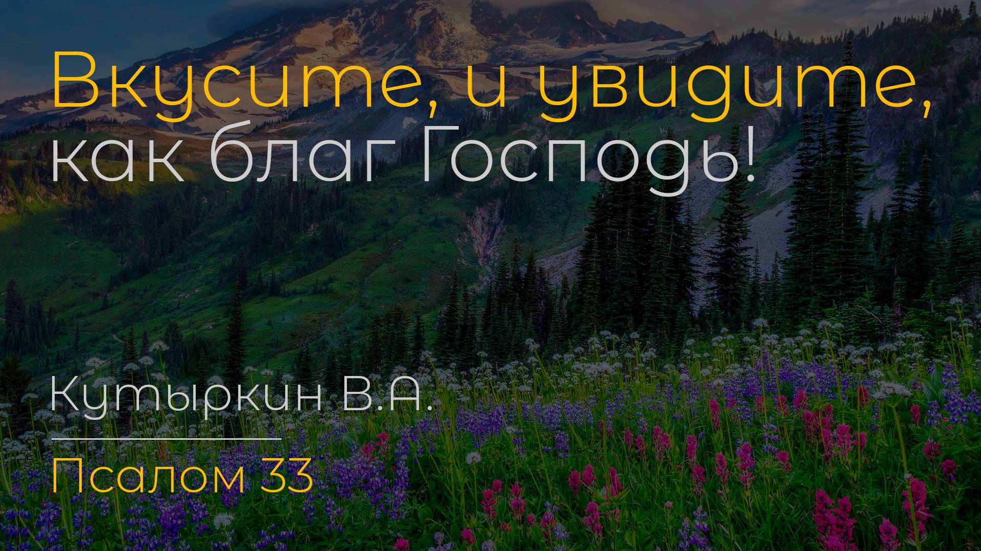 Вкусите, и увидите, как благ Господь! | Кутыркин В.А. смотреть онлайн