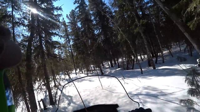 в поисках медведя смотреть онлайн