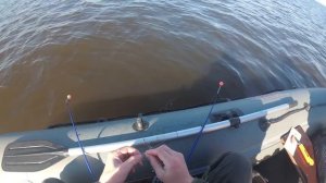 Корюшка с лодки на Финском заливе... Супер рыбалка.