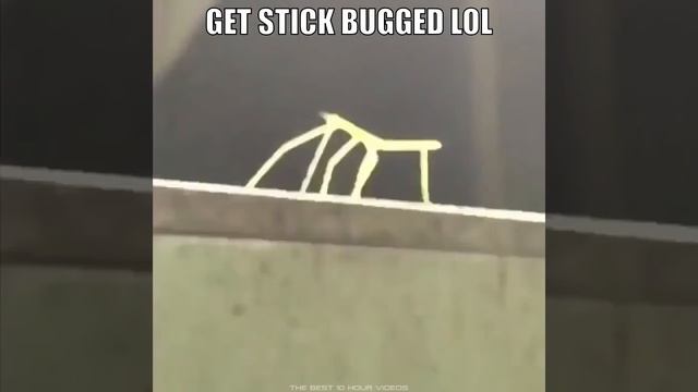 GET STICK BUGGED LOL (EXTENDED REMAKE) [10 HOURS] смотреть онлайн
