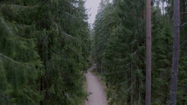 ВЕСЫ : ТВОРЧЕСКИЕ И ОТКРЫТЫЕ - Характеристика знака зодиака ВЕСЫ