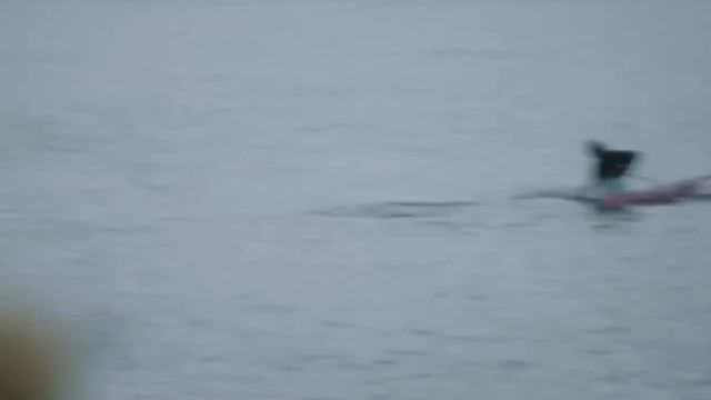 The Grand Tour Seasons 1-5 Funniest Moments Compilation - 30 Minutes of The Grand Tour Funny Clips смотреть онлайн