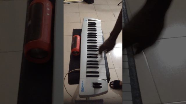 Miditech Mit-00115 Midistart Music 49 Pro Keys Keyboard смотреть онлайн