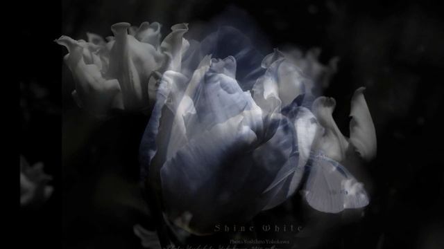 ГЛЮК - "ОРФЕЙ И ЭВРИДИКА" - (Фото Yoshihito Yokokawa (Токио) смотреть онлайн