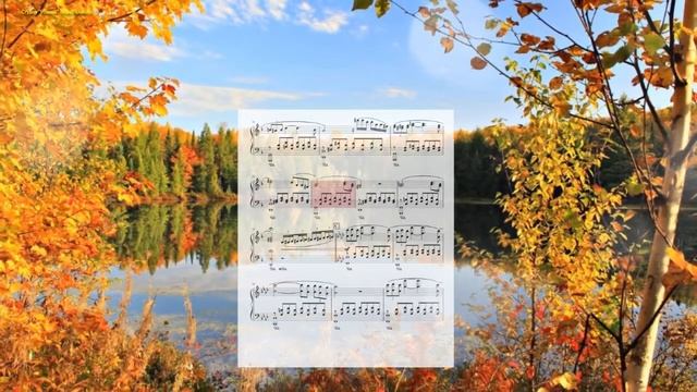 Schubert's Serenade - Richard Clayderman (Ноты и Видеоурок для фортепиано) (piano cover) смотреть онлайн