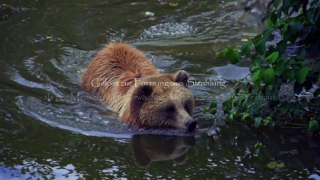 Der Mensch und die Erde смотреть онлайн