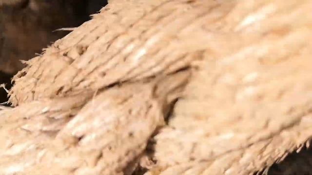 мышиные норы . август 2020(1) смотреть онлайн