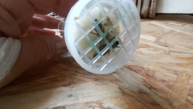 Беспокойный рой! Надеюсь концовочка!