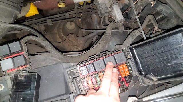 2000 Town Car/Crown Vic Horn Relay Horn Fuse смотреть онлайн