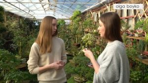 ? РАСТЕНИЯ В ИНТЕРЬЕРЕ: Идеи размещения, ДЕКОР цветами, ВЫБОР и УХОД.