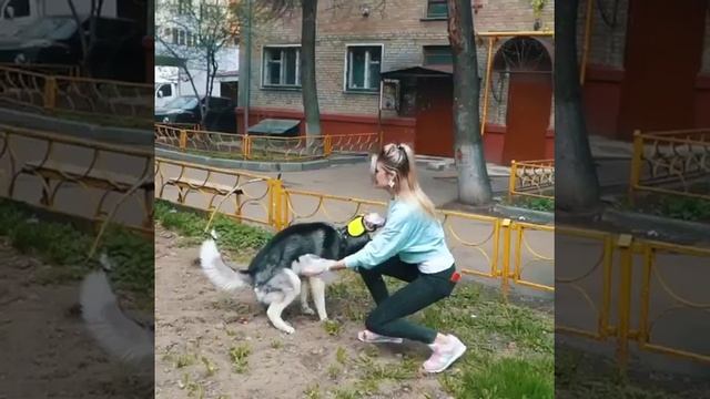 Объявляю честный опрос ‼️?? Будем проверять какой марки телефон лучше ? смотреть онлайн