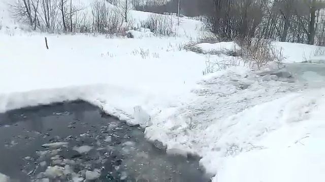 Замор. Спасаем карасят на частном пруду. смотреть онлайн