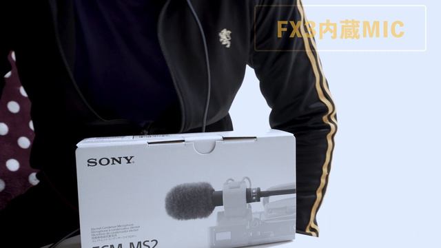 【散財】Cinema Line FX3 用にSONYのECM-MS2ステレオマイクを買った結果 смотреть онлайн