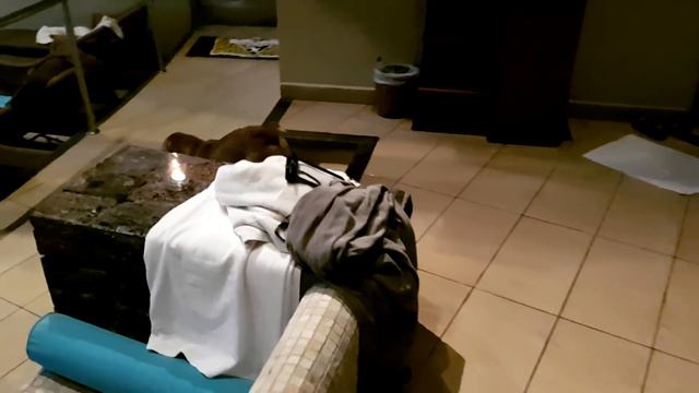 Маврикий. Обзор отеля Maritim Resort & Spa