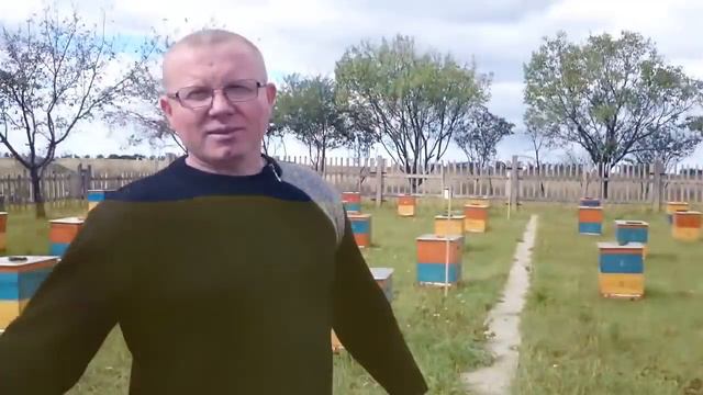 Гимн Пчеловодов Украины! cover Баскевич Андрей смотреть онлайн