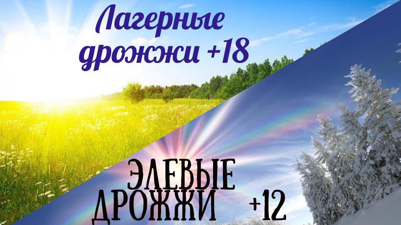 Сбраживаю лагерными дрожжами +18! А элевыми +12!Сравнение ,дегустация,эксперимент! смотреть онлайн