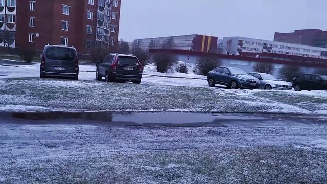 День демократии в демократической(?) Эстонии смотреть онлайн