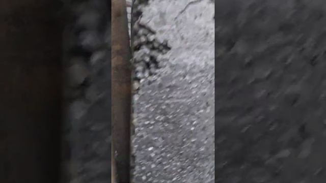 Снял опалубку новой заливки - полёт нормальный) смотреть онлайн