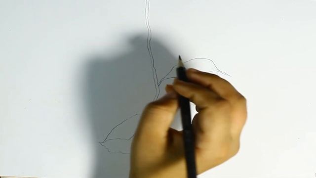Complete Free Sketching/Drawing Course in اردو / हिंदी CLASS 19 /COMPLETE COURSE смотреть онлайн