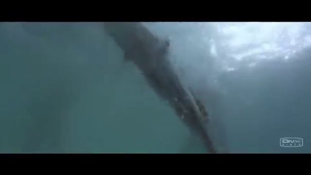 The Beach - All Saints Pure Shores смотреть онлайн