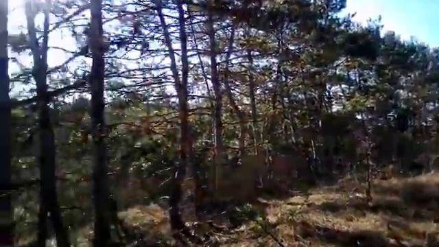 Человеческая берлога в лесу) и наши собранные мышата! смотреть онлайн