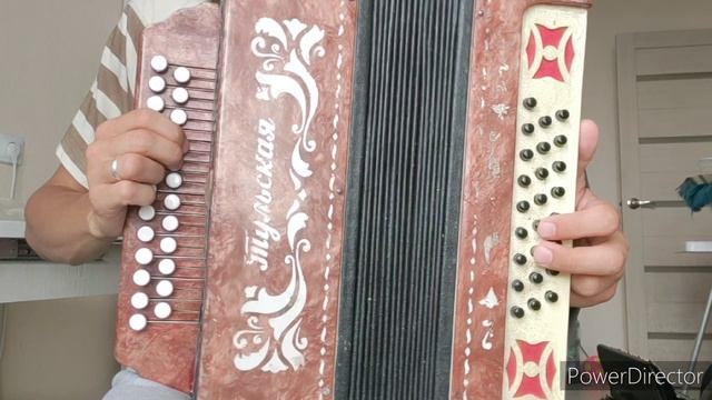 НЕ СПЕШИ ТЫ НАС ХОРОНИТЬ - Разбор на ГАРМОНИ ЦИФРАМИ из репертуара группы Чайф #баянпобратски смотреть онлайн