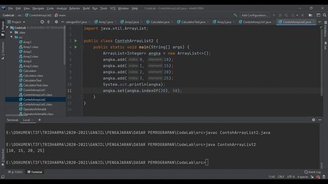 PIF1103 #11 - ArrayList смотреть онлайн