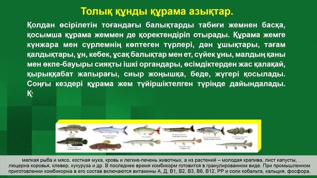 Процесс кормления рыб и субсидирования кормов 1 смотреть онлайн