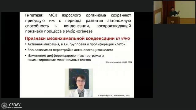 Стволовые клетки в регенерации. П.И. Макаревич смотреть онлайн